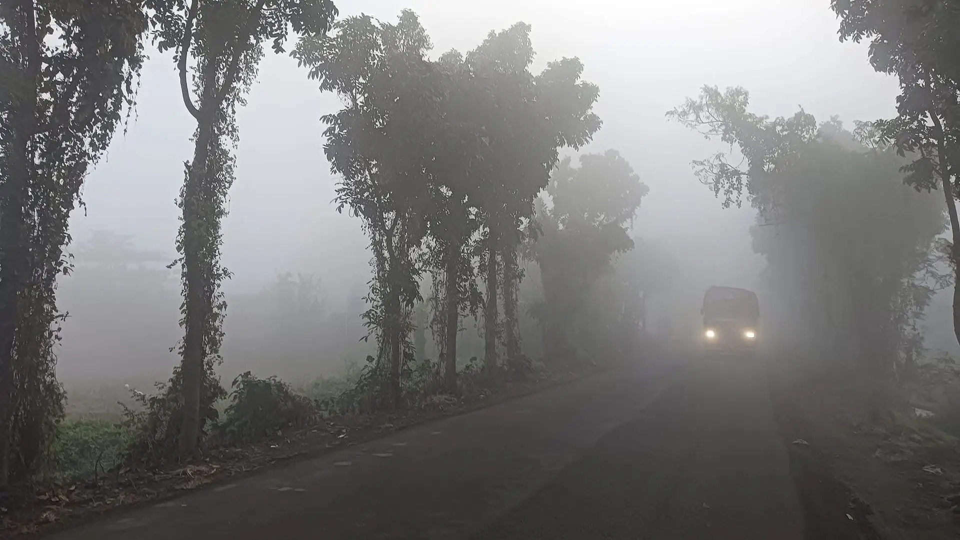 Foggy morning