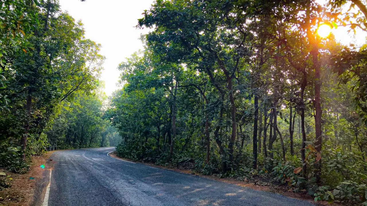 Forest Road