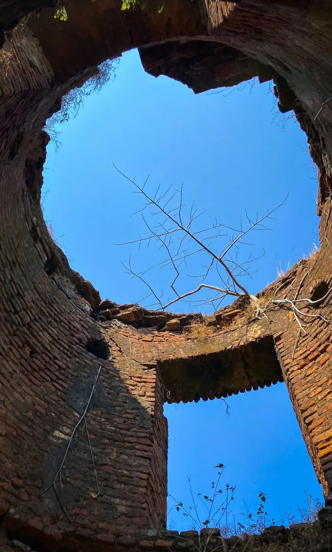 Semaphore Tower in Joychandi Hill