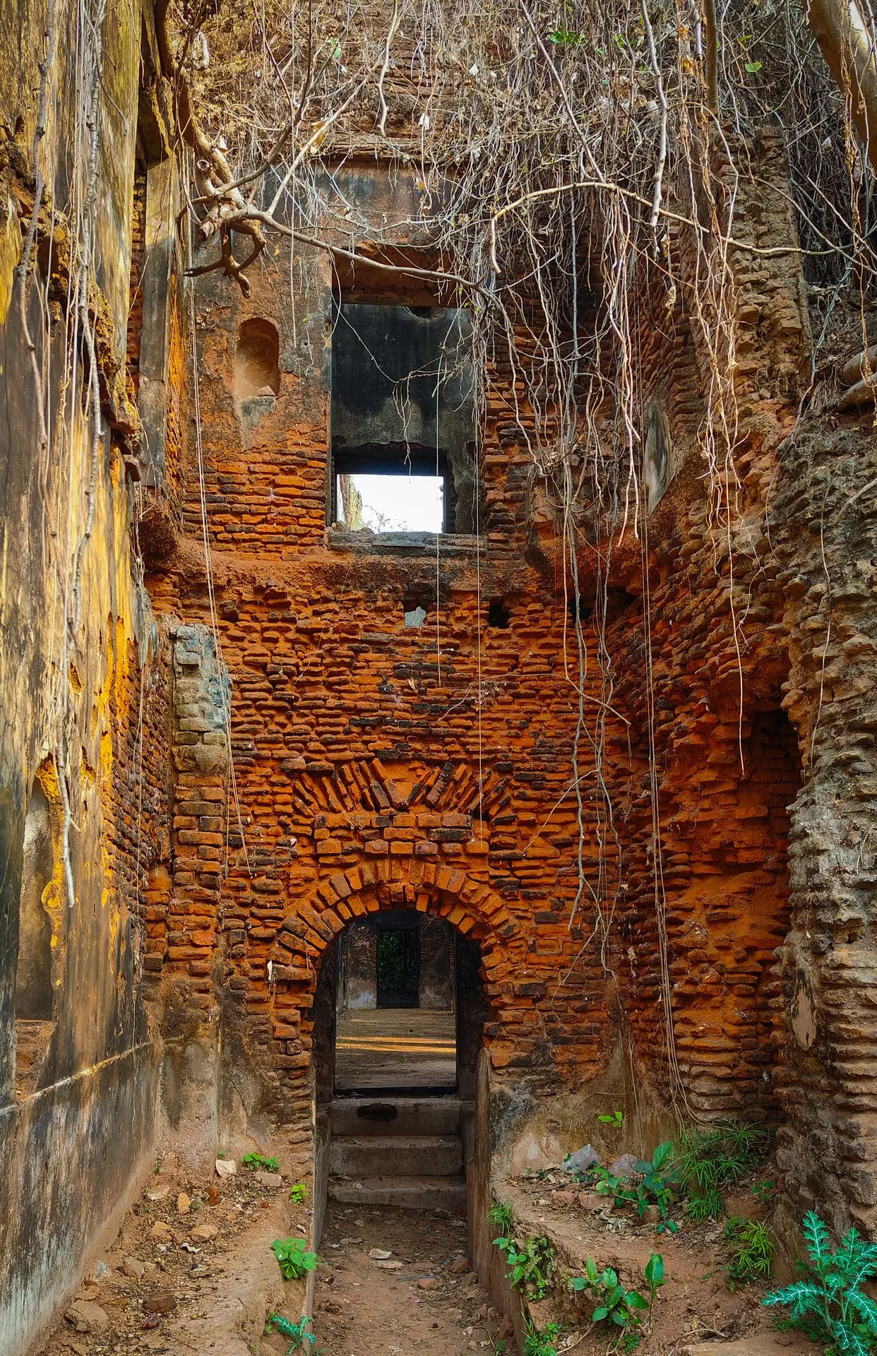 Raipur Jamidar Bari
