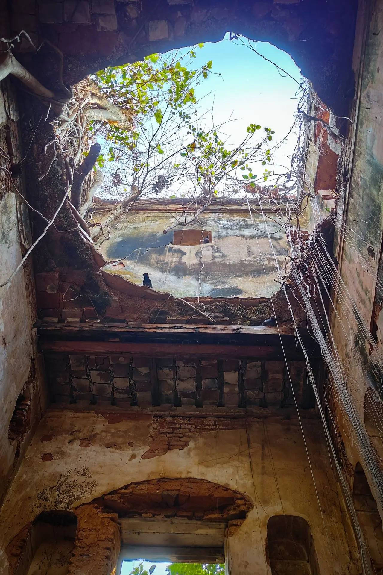 Raipur Jamidar Bari