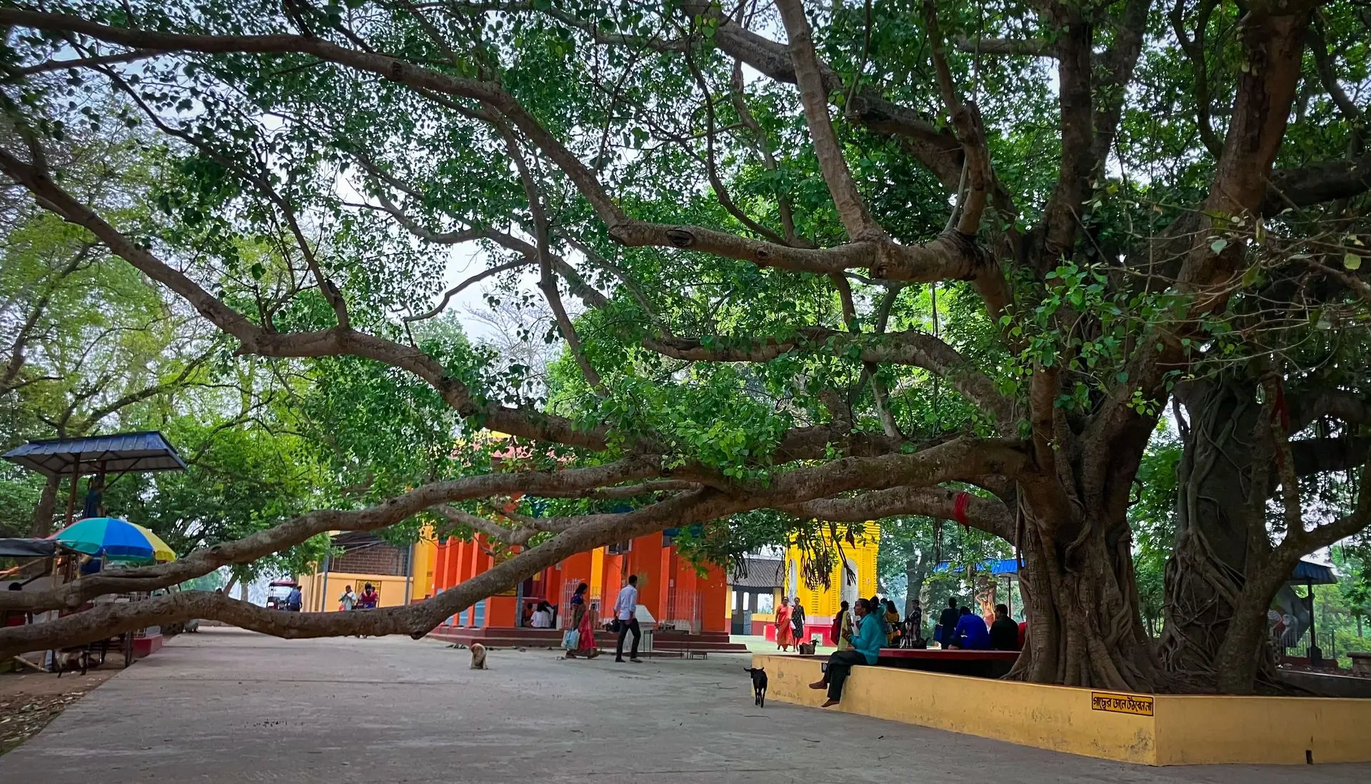 Rakhal Raja Mandir