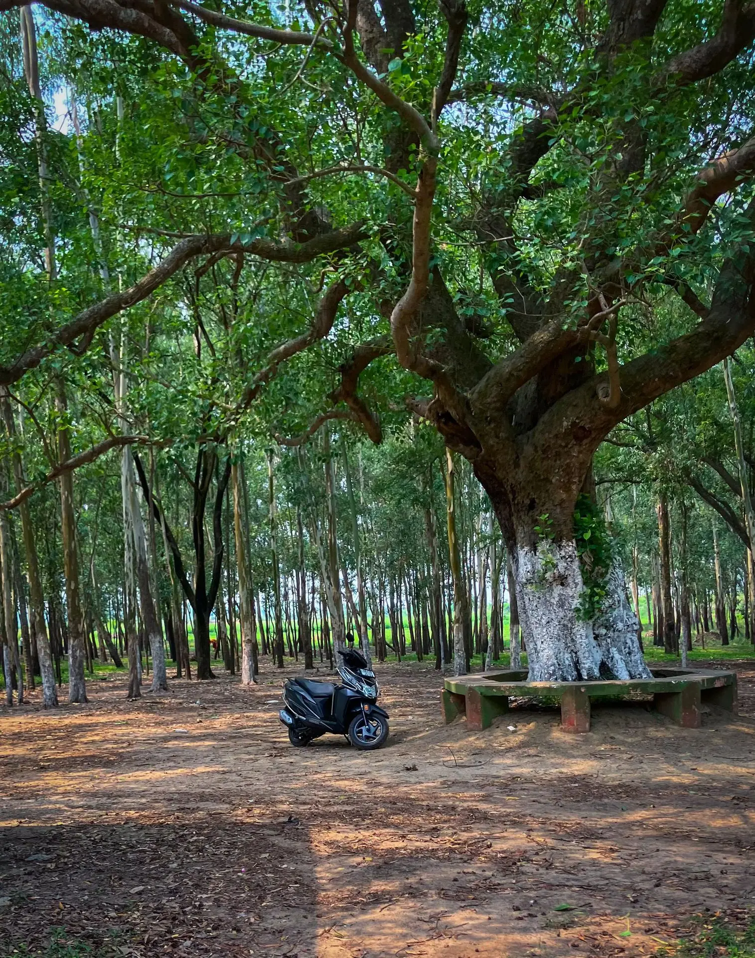 Valia Dakat Kali Temple