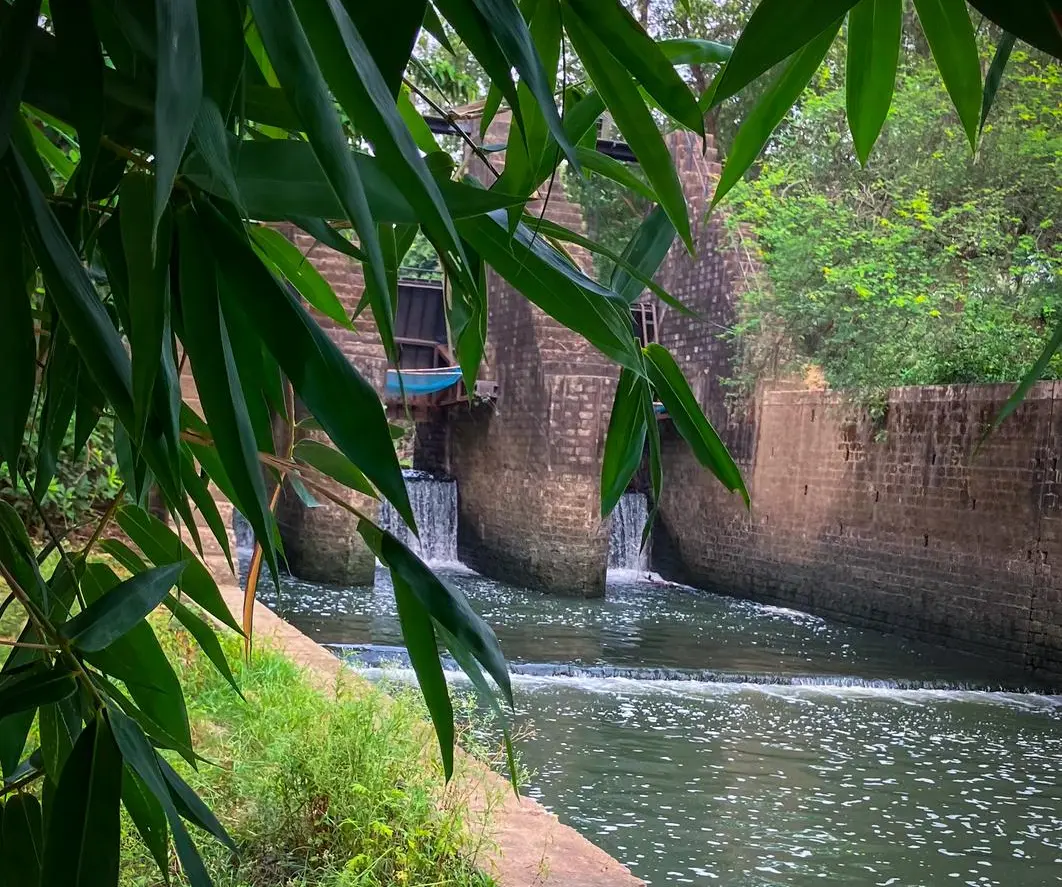 Gopalpur DVC Lockgate