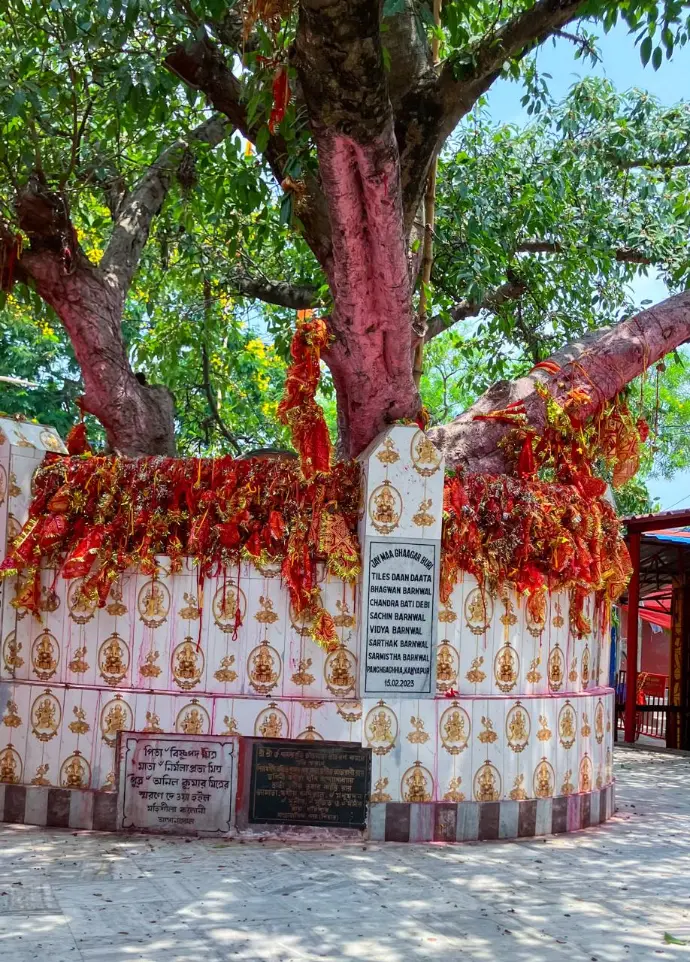 Ghagar Buri Chandi Mata Temple