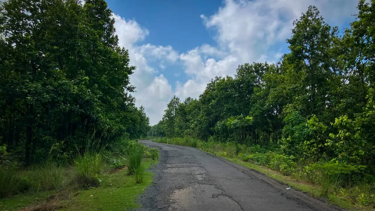Valki Machan Forest