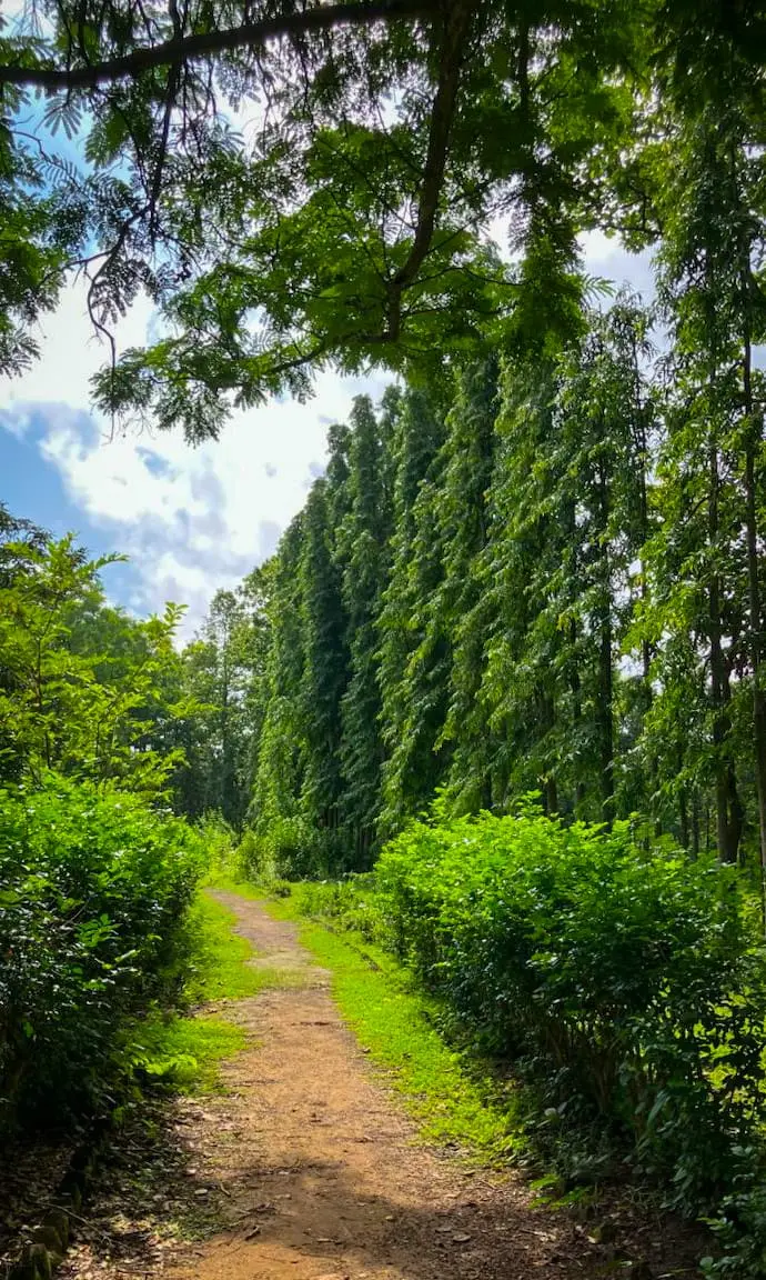 Valki Machan Jamuna DighiValki Machan Jamuna Dighi