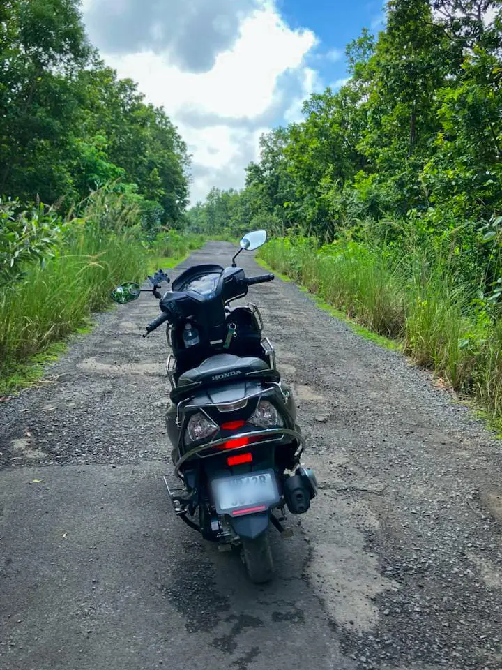 Valki Machan Forest road