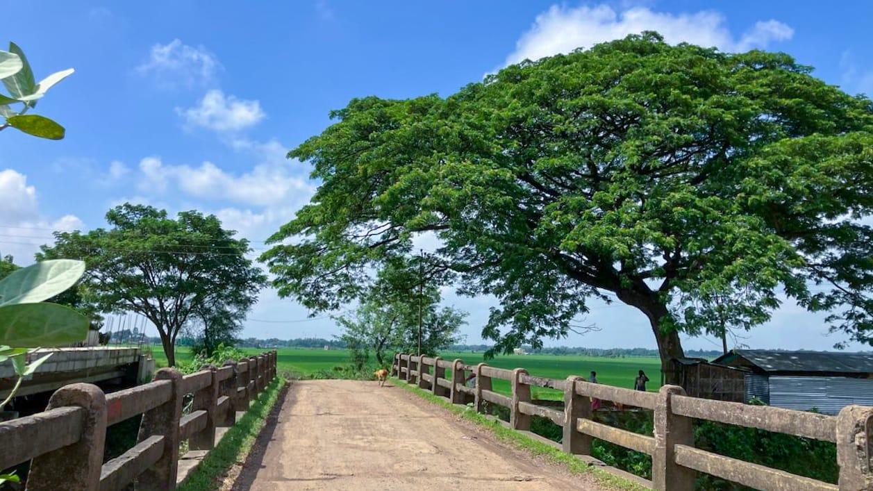 Road toward Valki Machan