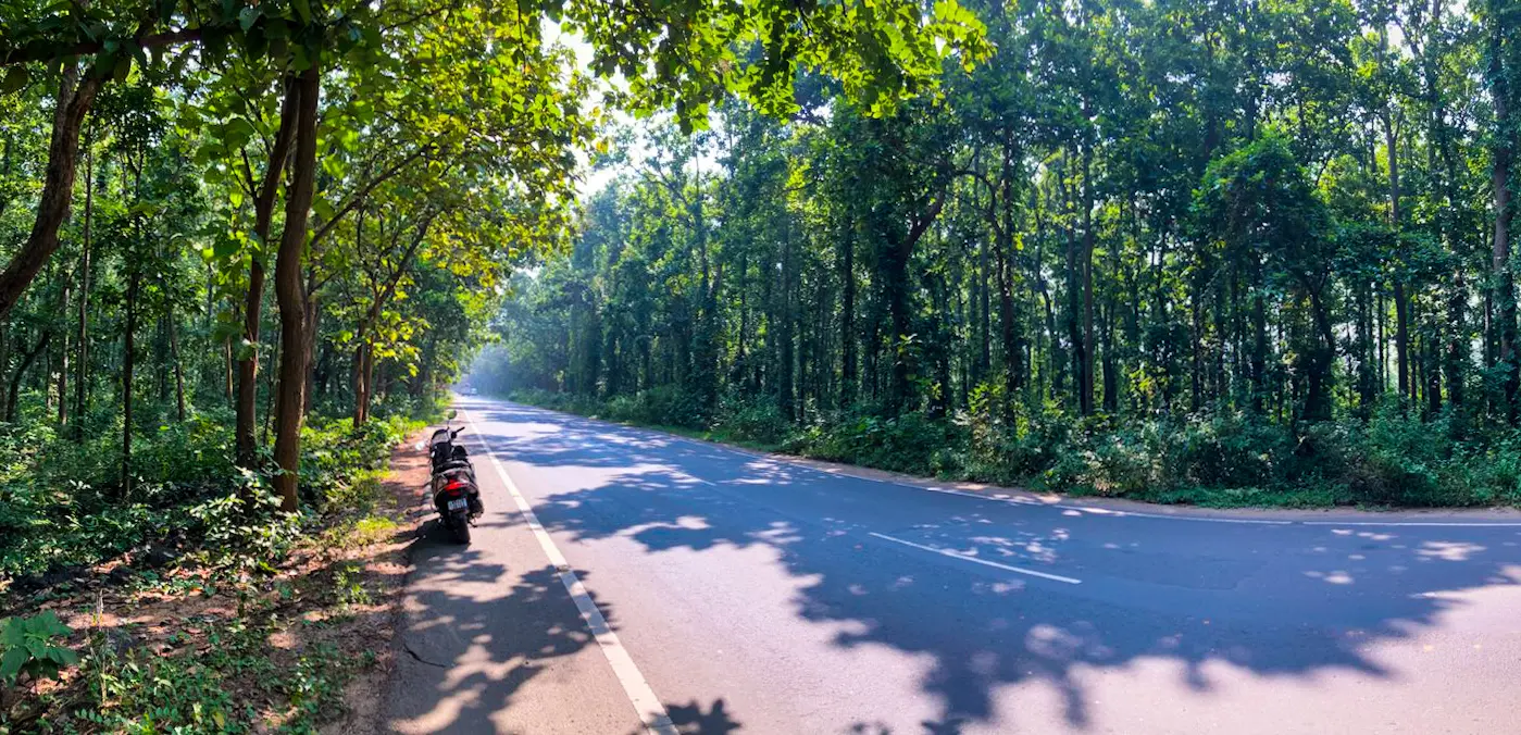 Joypur Forest Joypur Forest