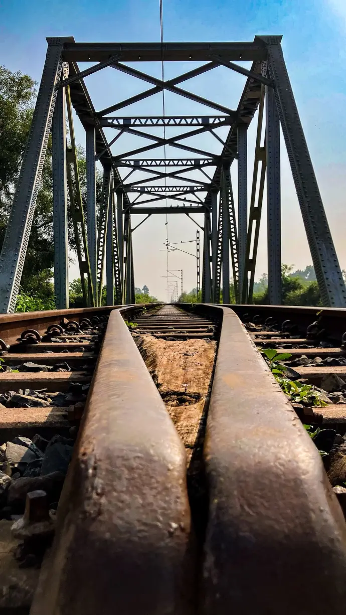 Train line within Joypur Forest