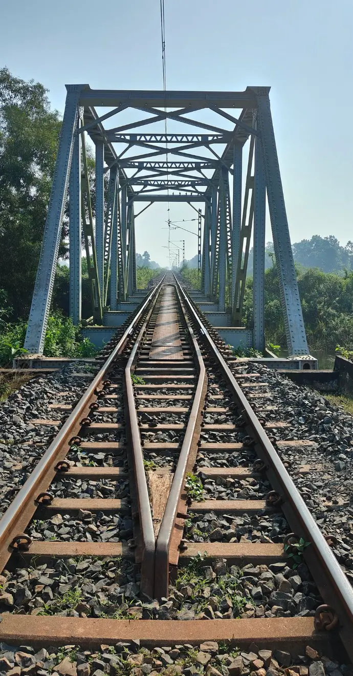 Train line within Joypur Forest