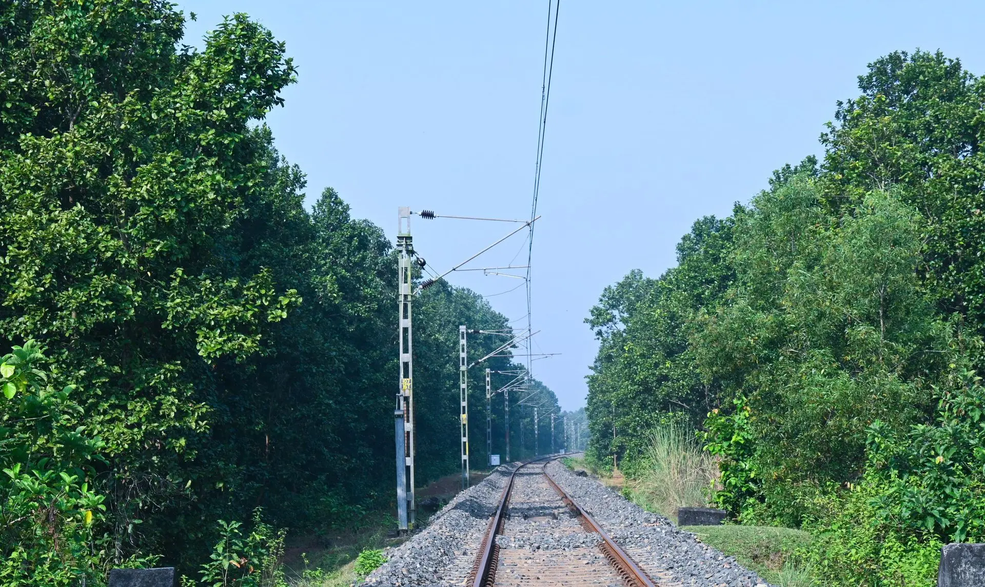 Train line within Joypur Forest