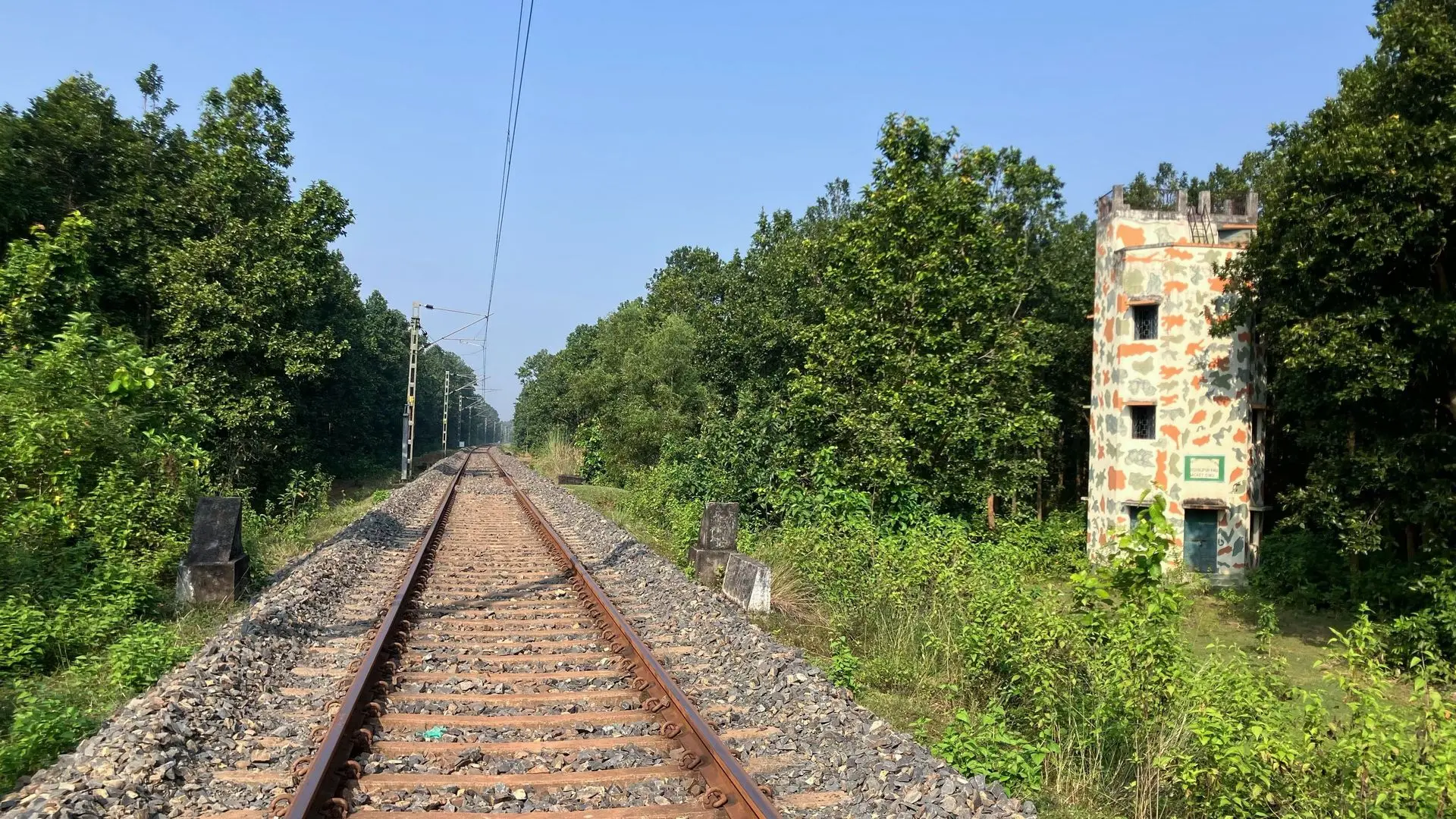 Train line within Joypur Forest