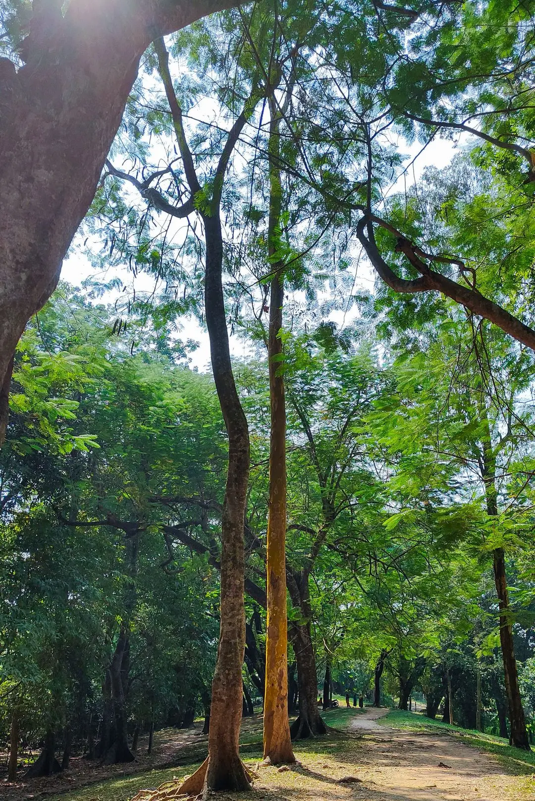 Chandraketugarh Fort