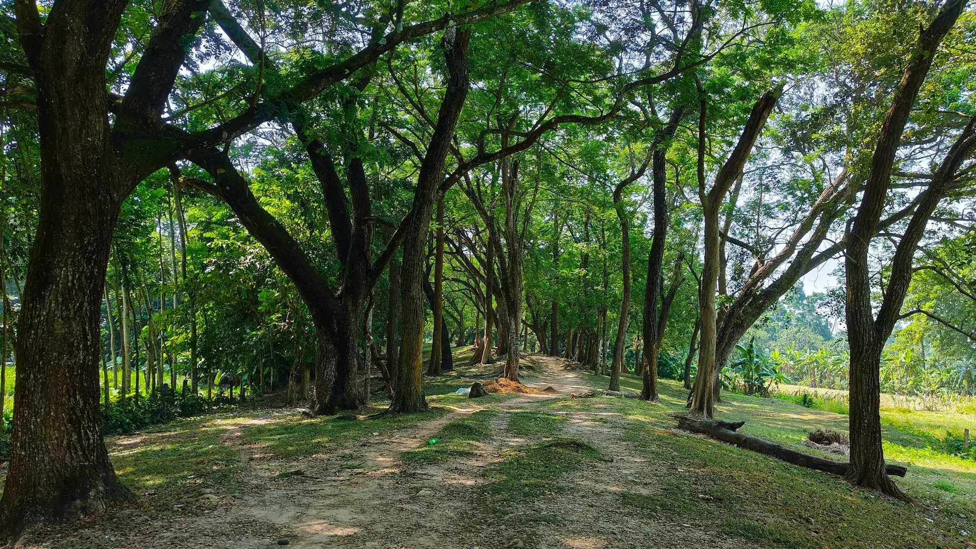 Chandraketugarh Fort