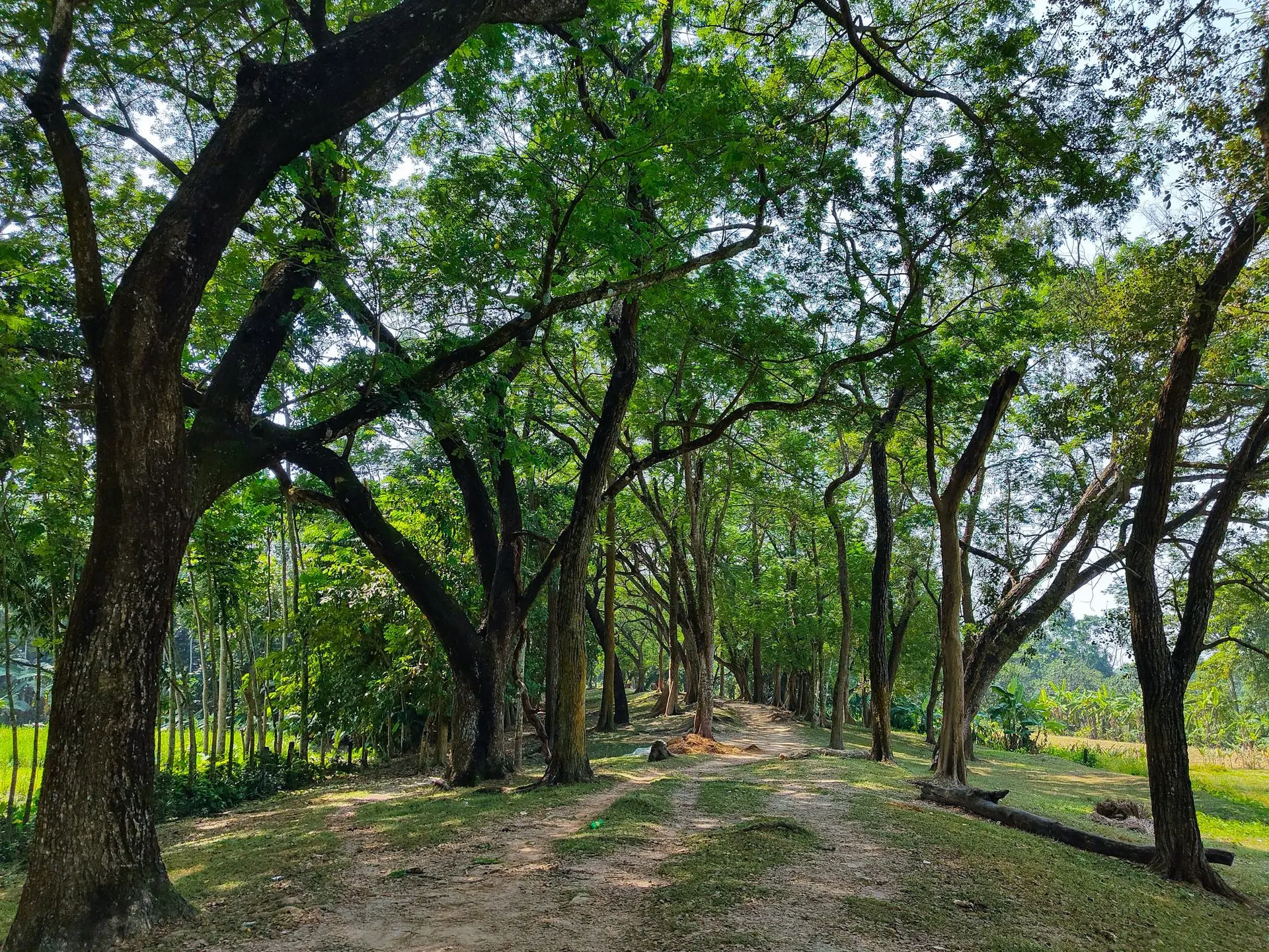 Chandraketugarh Fort