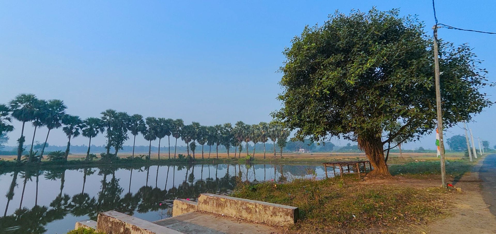 Road at winter morning