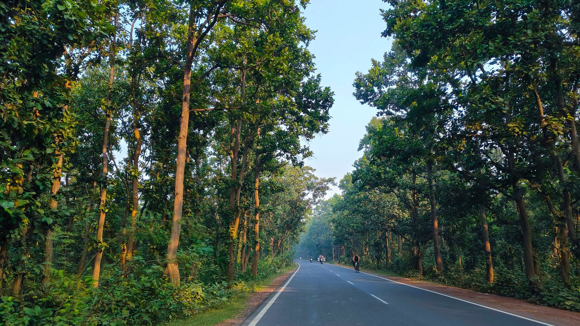Road at winter morning