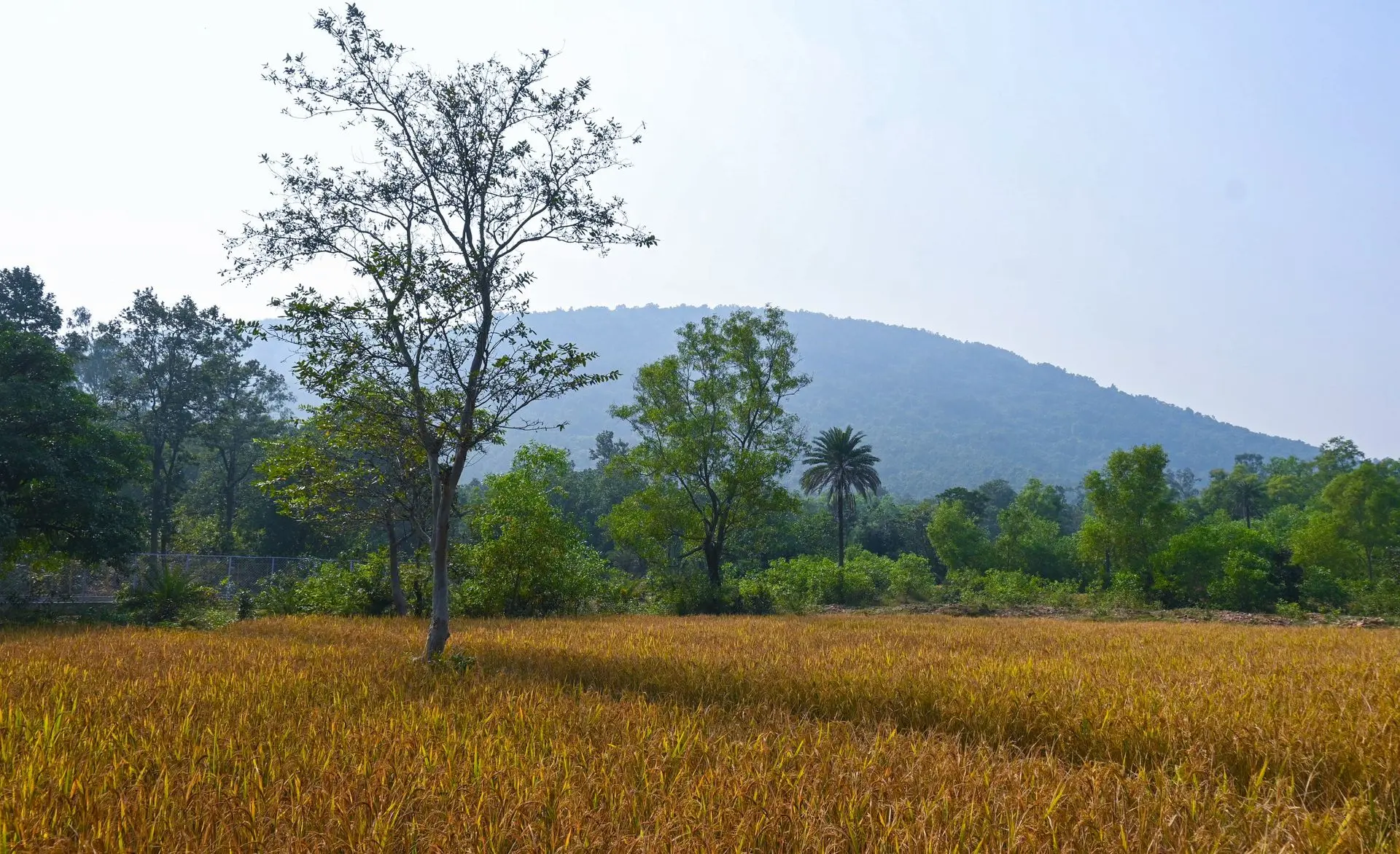 Susunia Hill Susunia Hill