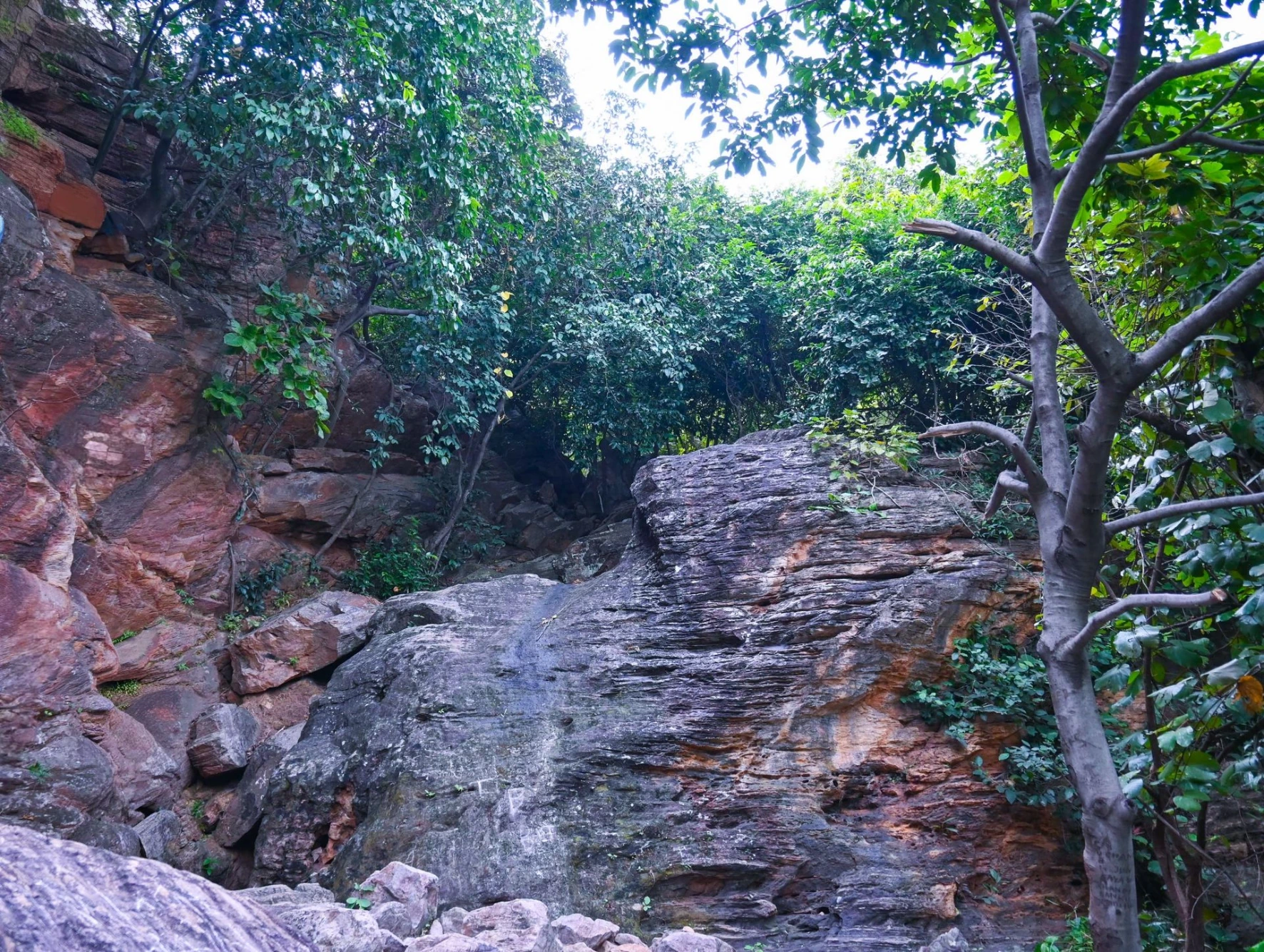 Susunia Hill