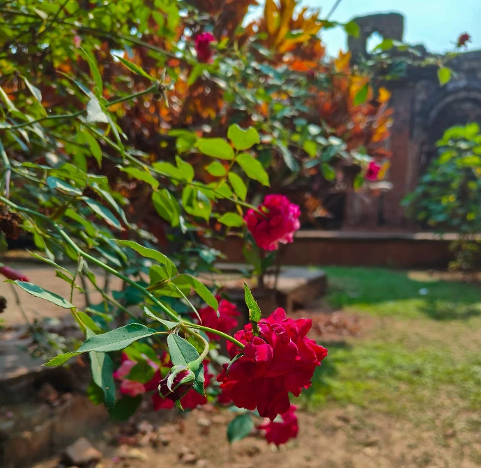 Lakshmi Janardan Temple