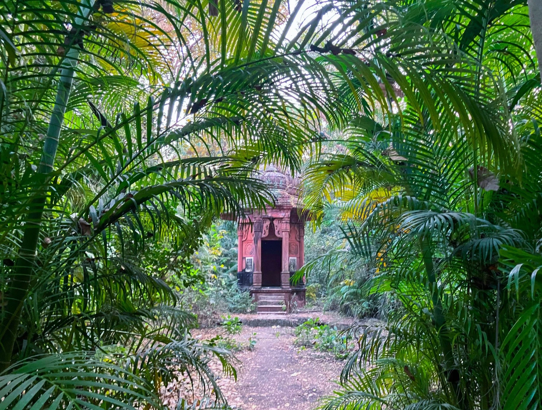 Samajbari in Bijay Bahar Samajbari in Bijay Bahar