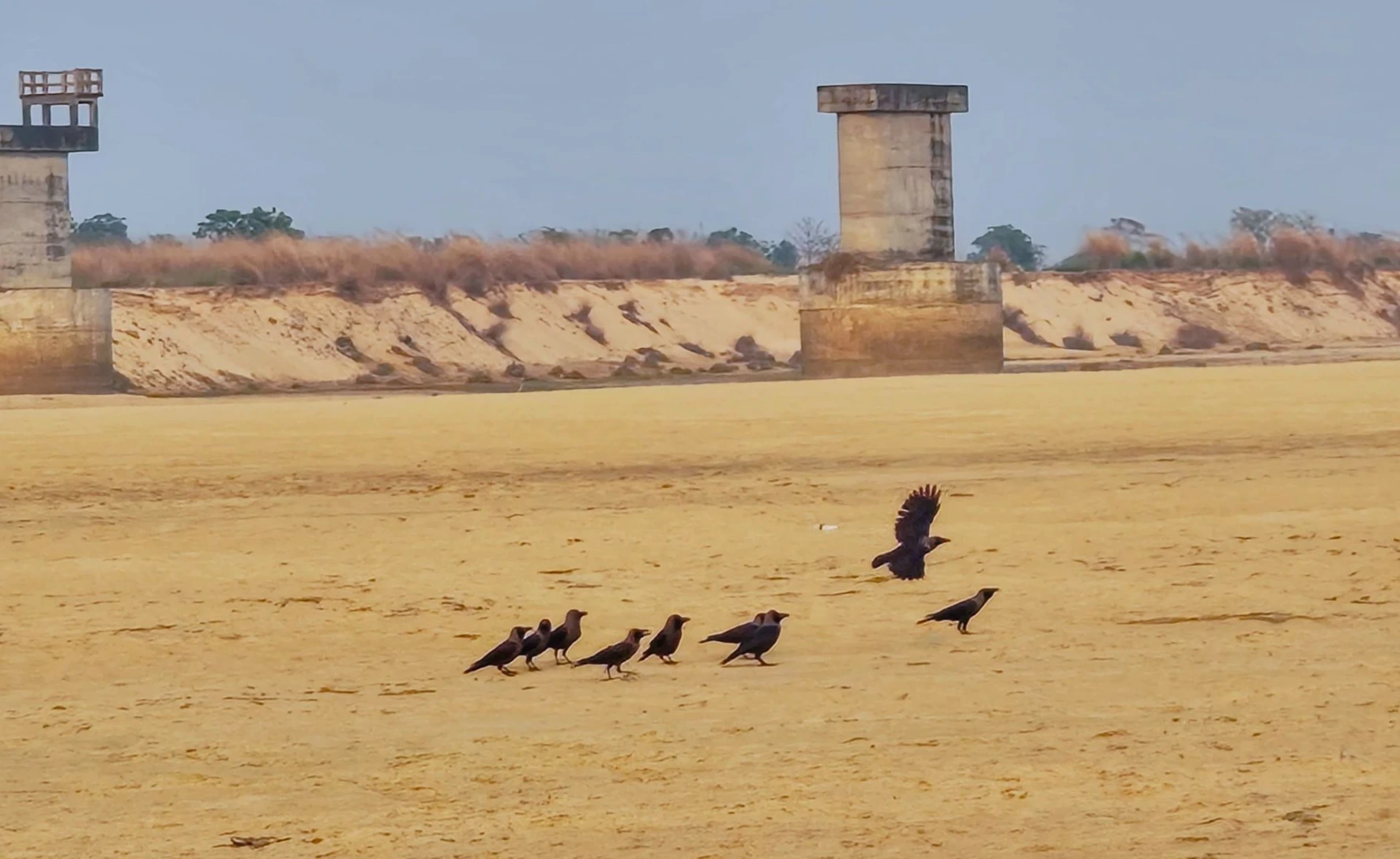 Amrul Damodar river bank Amrul Damodar river bank