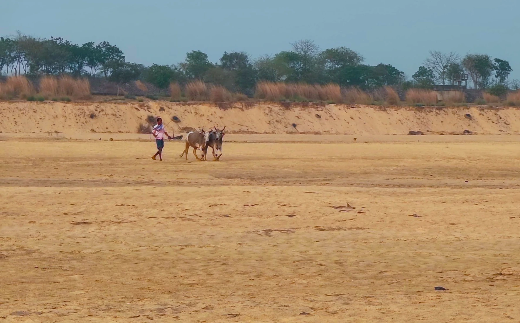 Amrul Damodar river bank Amrul Damodar river bank