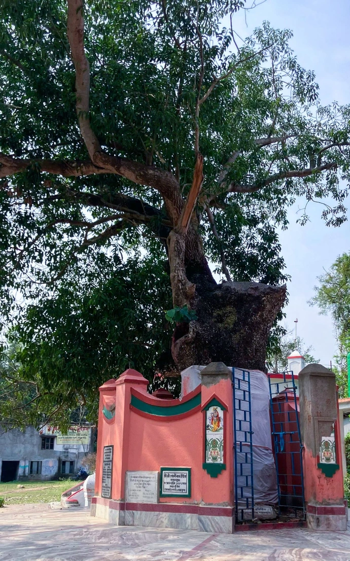 Khanakul Town Abhiram Gopal Thakura Sripat