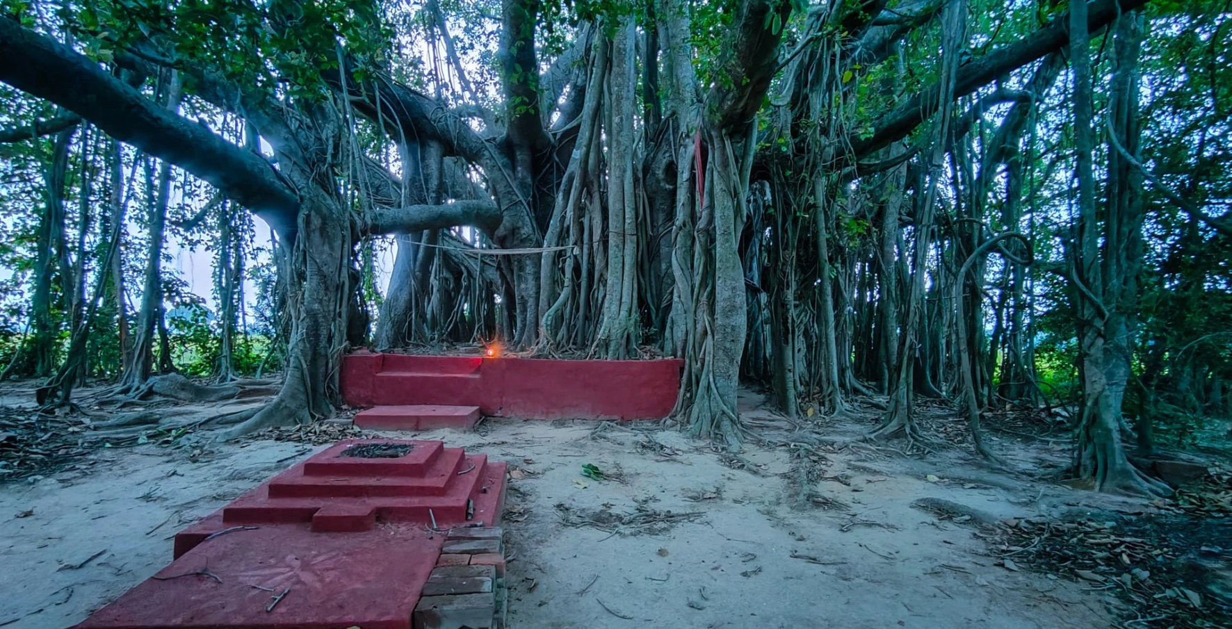 Nishanka Ashram ancient Banyan tree Nishanka Ashram ancient Banyan tree