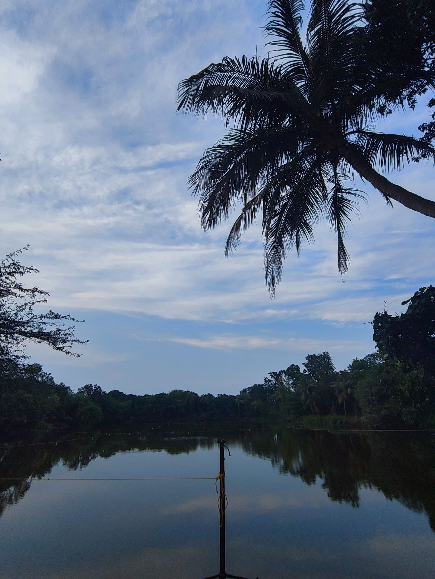 Pond in Amadpur Pond in Amadpur