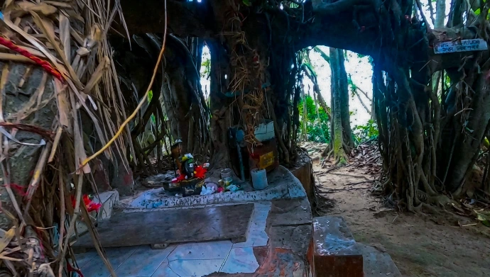 Nishanka Ashram ancient Banyan tree Nishanka Ashram ancient Banyan tree