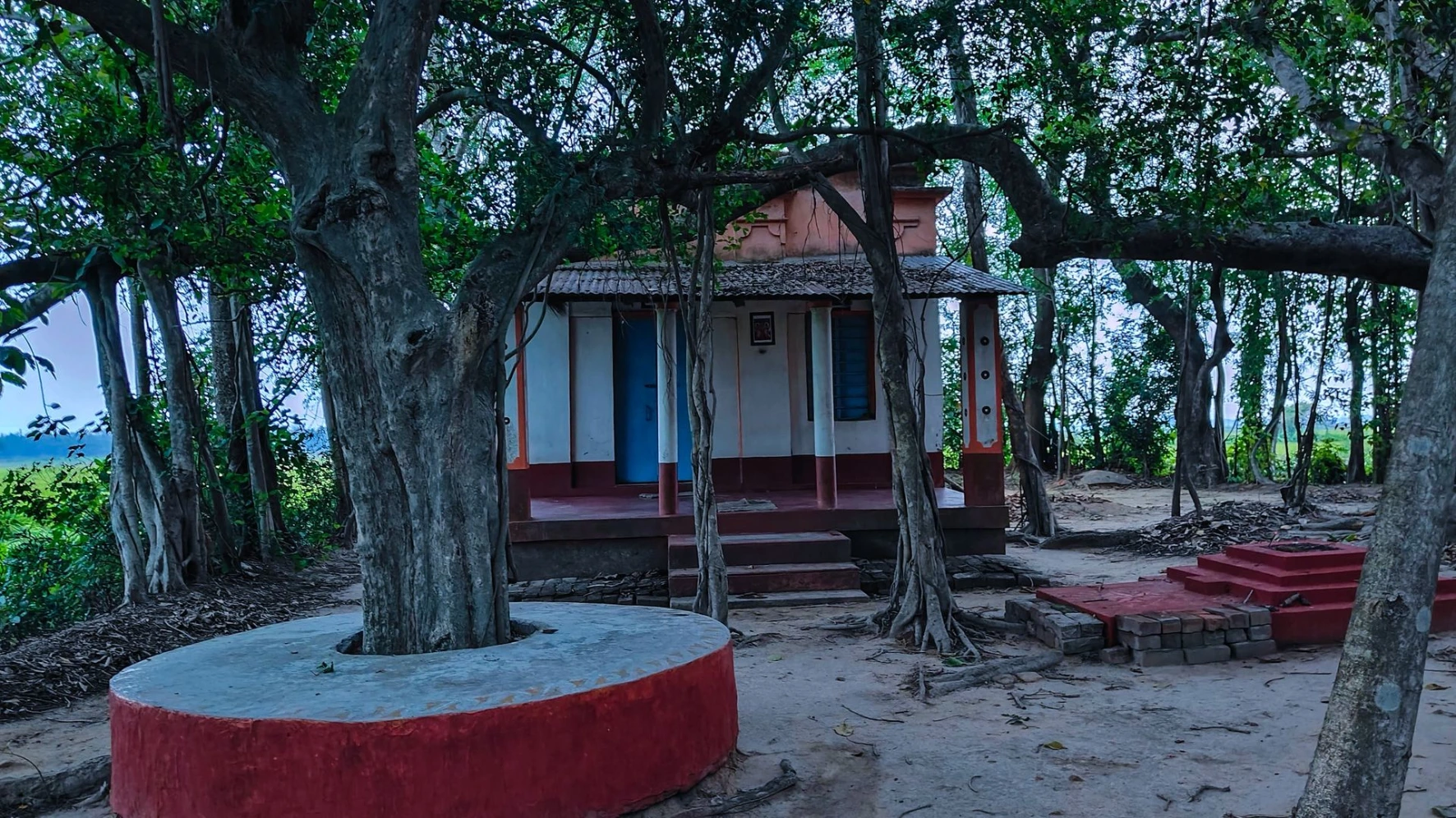 Nishanka Ashram ancient Banyan tree Nishanka Ashram ancient Banyan tree