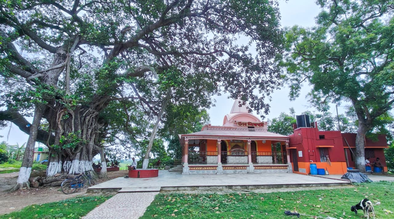 Maa Sidhdheswari KALIMATA MANDIR