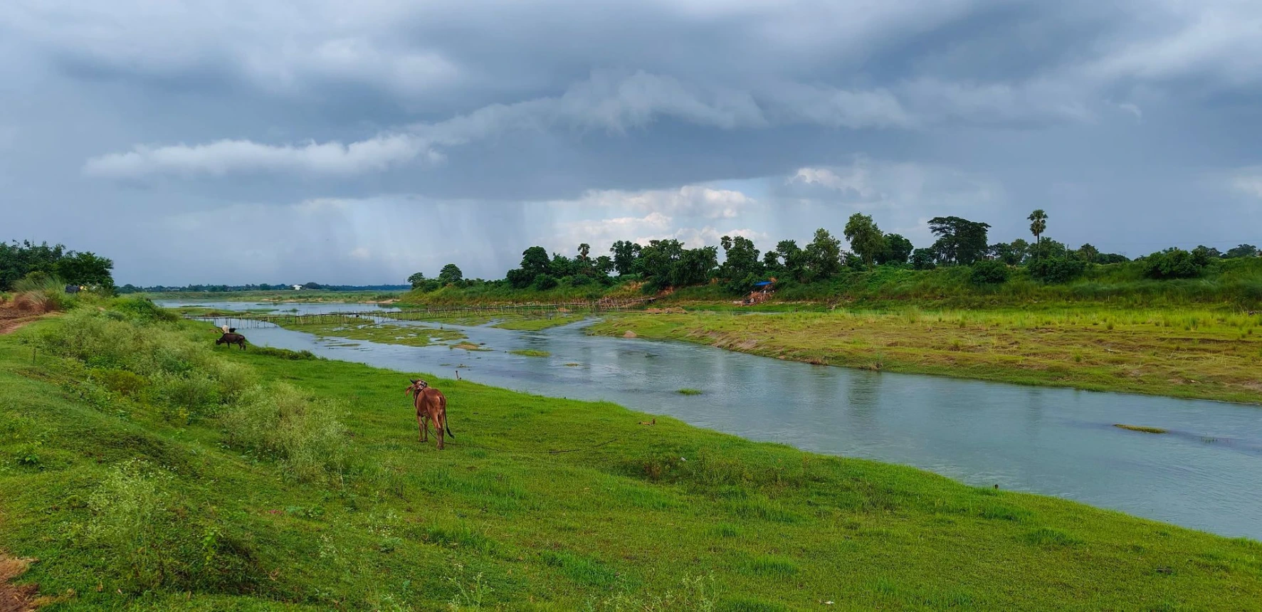 Damodar river at Muidiour Damodar river at Muidiour