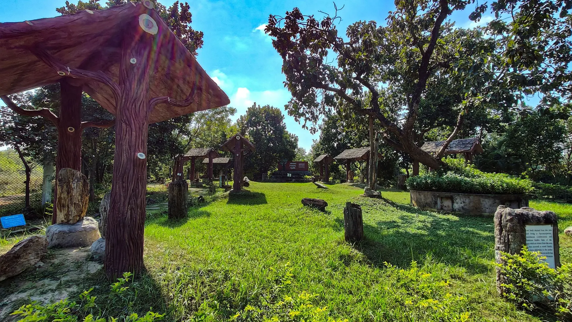 Wood Fossil Park