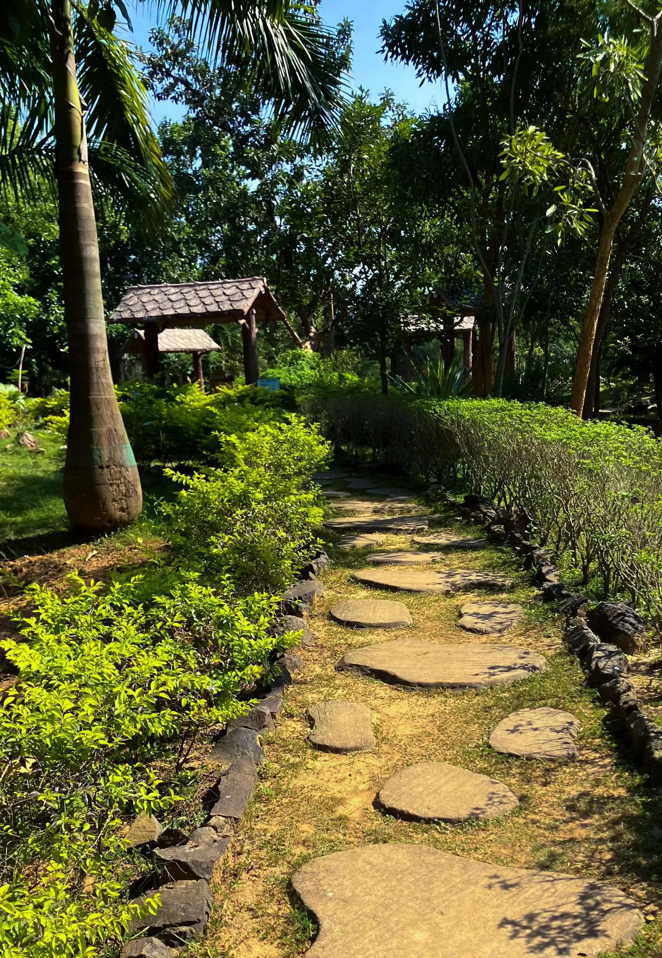 Wood Fossil Park